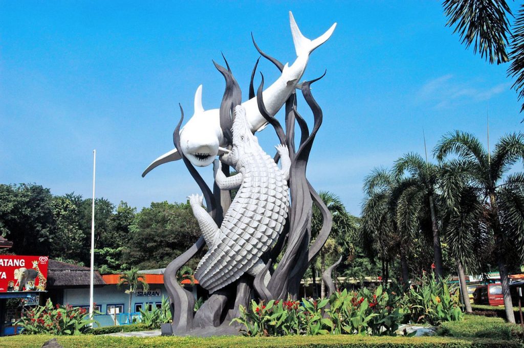 travel surabaya  jember